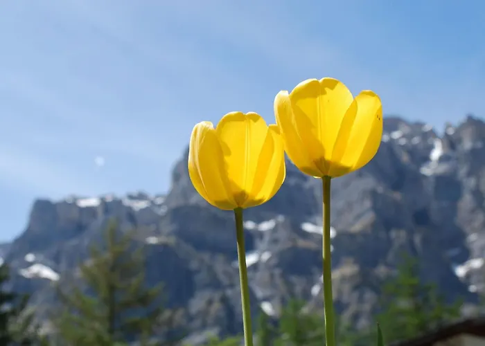 Haus Cristal 39 By Interhome Apartman *